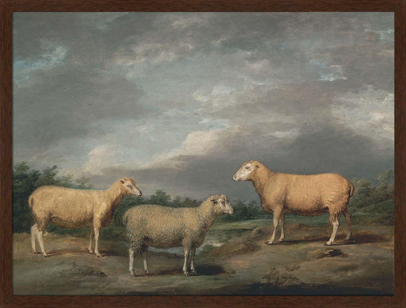 Ryelands Sheep | Paper