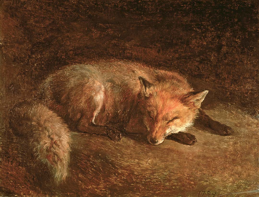 Sleeping Fox | Paper