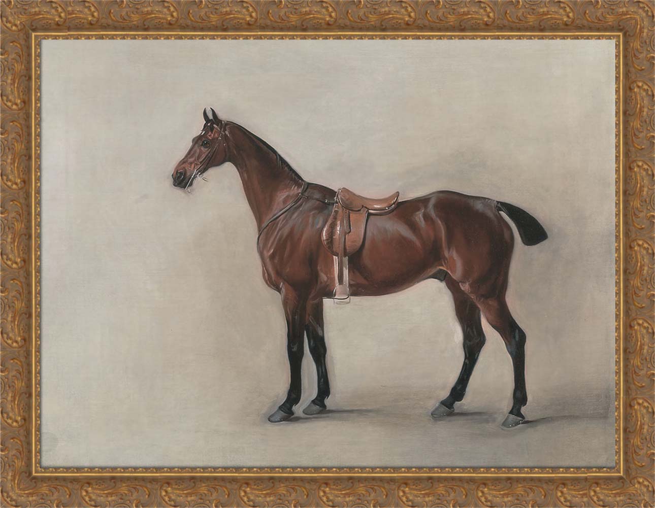 Study of a Saddled Bay Hunter | Paper
