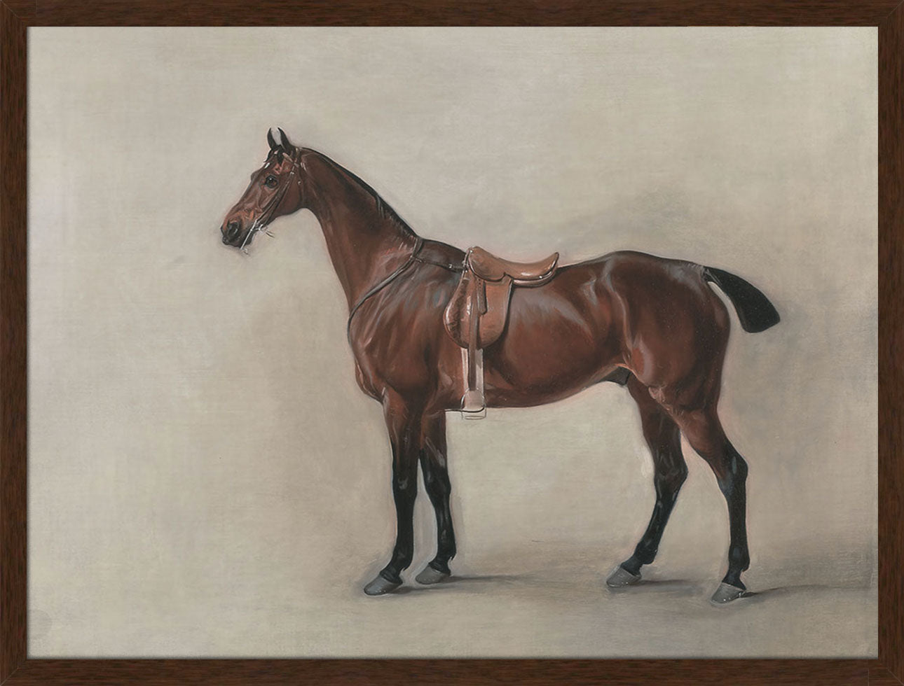 Study of a Saddled Bay Hunter | Paper