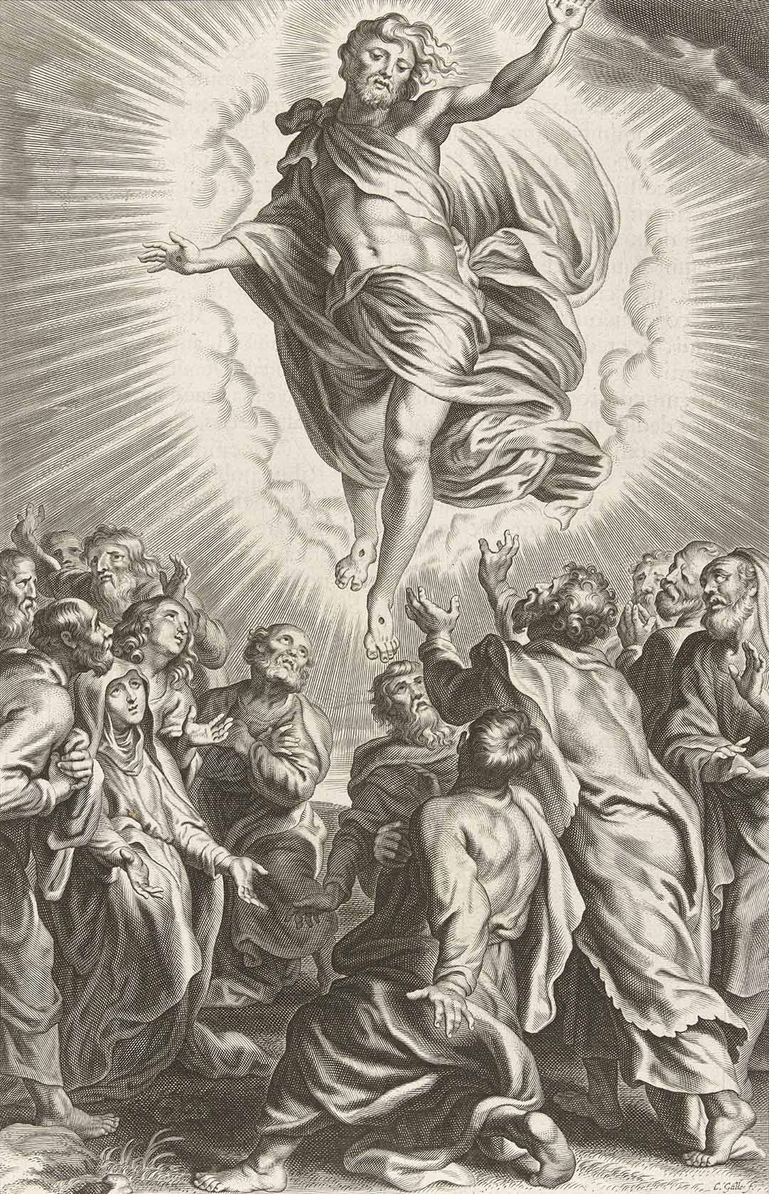 The Ascension | Paper