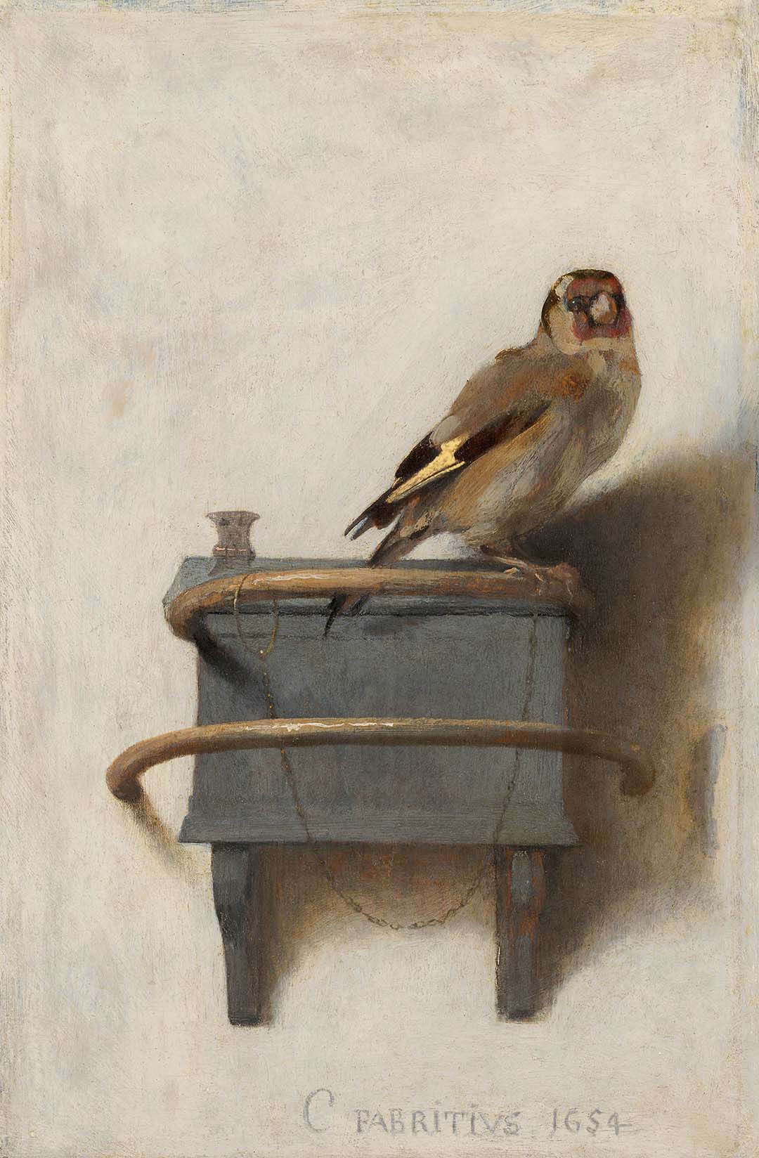 Goldfinch | Paper