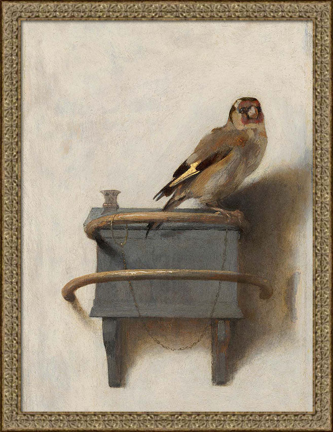 Goldfinch | Paper