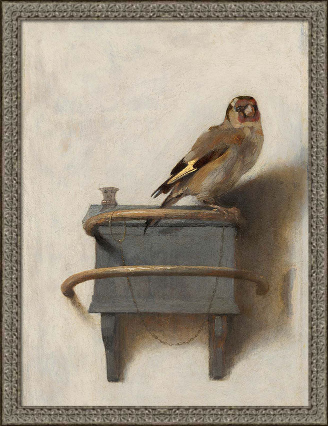 Goldfinch | Paper