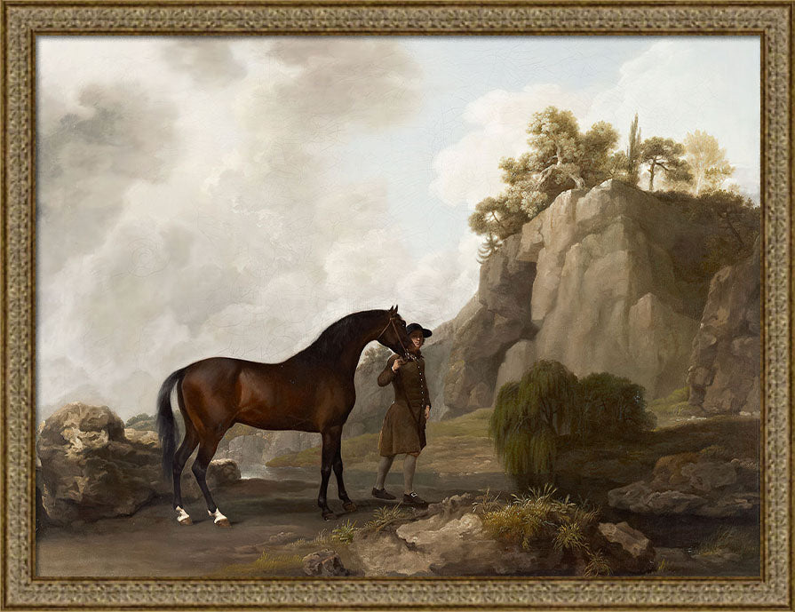 Arabian Stallion | Paper