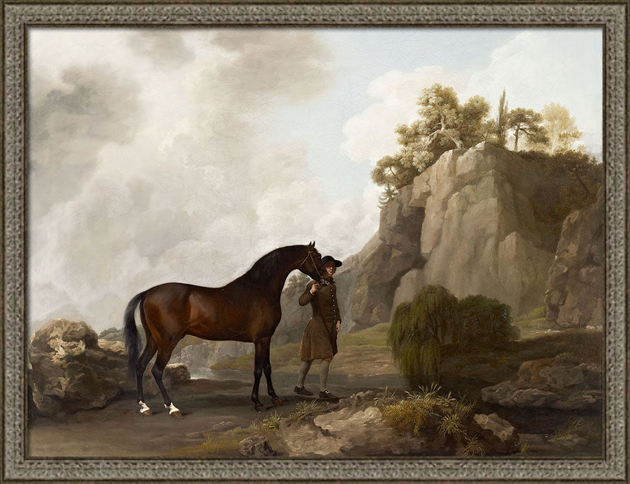 Arabian Stallion | Paper