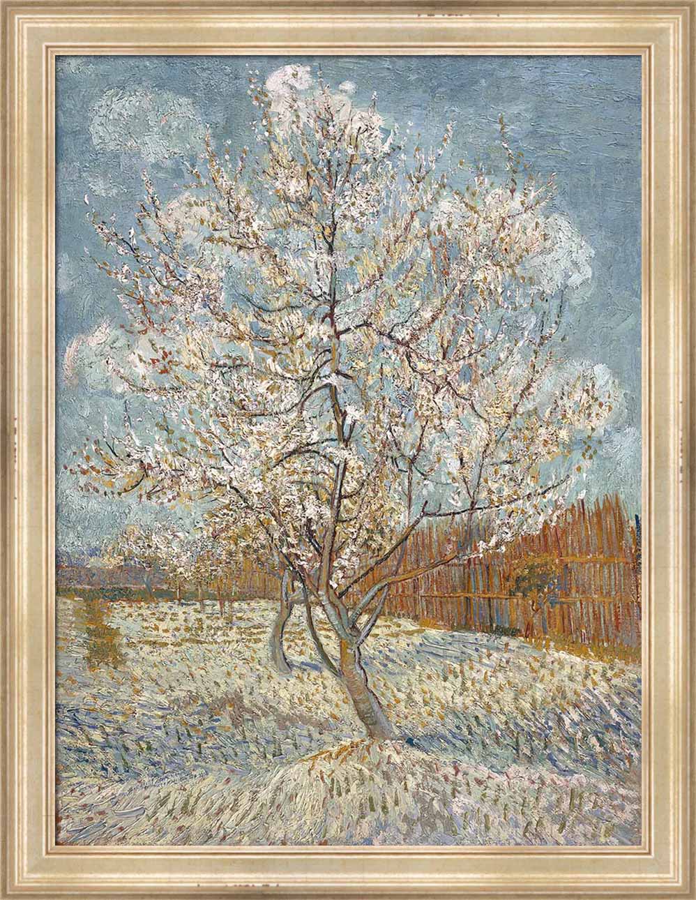 The Pink Peach Tree | Paper