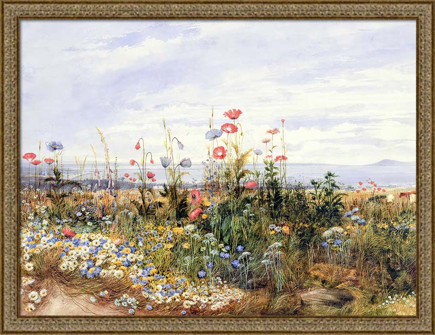 Wildflowers | Paper