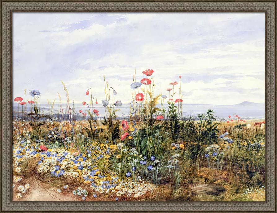 Wildflowers | Paper
